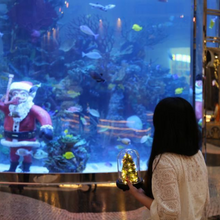 將圖片載入圖庫檢視器 Christmas Special Preserved flower Christmas Tree Workshop 2 hours