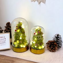 Load image into Gallery viewer, Make a Wish Preserved flower Christmas Tree S size