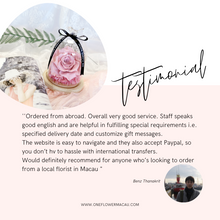 Load image into Gallery viewer, Get Reviews Rewards