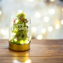 Load image into Gallery viewer, Make a Wish Preserved flower Christmas Tree S size