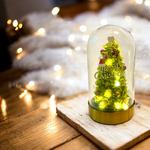 將圖片載入圖庫檢視器 oneflowermacau 永生花/保鮮花星座 玻璃瓶Christmas Premium Preserved flower Christmas Tree Workshop 2 hours (M Size)