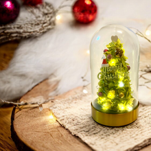 將圖片載入圖庫檢視器 oneflowermacau 永生花/保鮮花星座 玻璃瓶Christmas Premium Preserved flower Christmas Tree Workshop 2 hours (M Size)