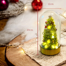 Load image into Gallery viewer, Preserved flower Christmas Tree L size