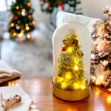 Load image into Gallery viewer, Preserved flower Christmas Tree L size