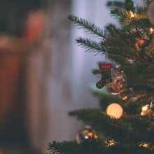 將圖片載入圖庫檢視器 Fresh Noble Fir Christmas Workshop 2.5 hours Wreath/Tree 30cm