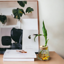 將圖片載入圖庫檢視器 LOUDER 獨家 - SHINE 多功能開運瓶 雞蛋花主題