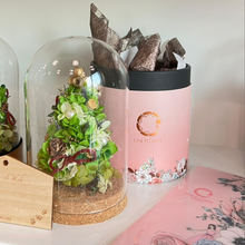 將圖片載入圖庫檢視器 Preserved flower Christmas Tree Workshop 2 hours (S Size Corkboard base)