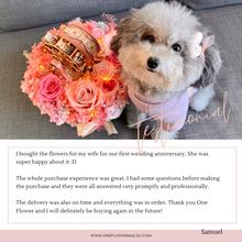 Load image into Gallery viewer, Get Reviews Rewards