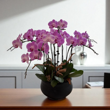 Load image into Gallery viewer, Feng Shui Fresh Orchid Flower 9 Units