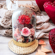 將圖片載入圖庫檢視器 星座永生花玻璃罩 (白羊座、獅子座、射手座)