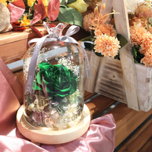 Load image into Gallery viewer, Preserved Flower Starry Glass Dome DIY Kit