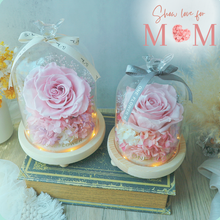 Load image into Gallery viewer, Preserved Flower Starry Infinity Love Glass Dome Workshop 2 hours
