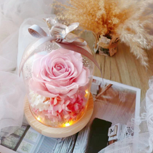 Load image into Gallery viewer, Preserved Flower Starry Glass Dome DIY Kit