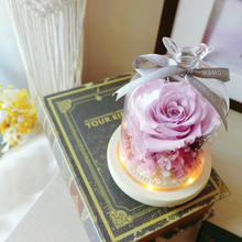 Load image into Gallery viewer, Preserved Flower Starry Glass Dome DIY Kit