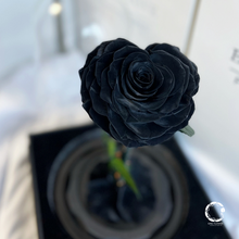 Load image into Gallery viewer, Preserved Flower Soul Love Glass Dome Secret Black