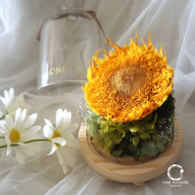 Load image into Gallery viewer, oneflowermacau 永生花/保鮮花 向日葵玻璃瓶