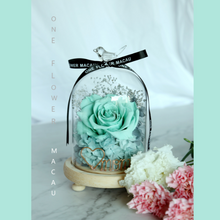 Load image into Gallery viewer, Preserved Flower Starry Love Infinity Glass Dome Workshop