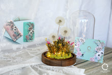 Load image into Gallery viewer, neflowermacau 永生花/保鮮花 花座蒲公英