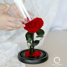 Load image into Gallery viewer, oneflowermacau 保鮮花/永生花 花座