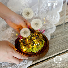Load image into Gallery viewer, oneflowermacau 永生花/保鮮花 花座蒲公英