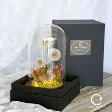 Load image into Gallery viewer, neflowermacau 永生花/保鮮花 花座蒲公英