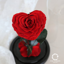 Load image into Gallery viewer, oneflowermacau 保鮮花/永生花 花座