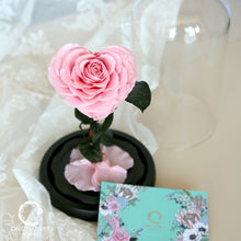 Load image into Gallery viewer, oneflowermacau 保鮮花/永生花 花座