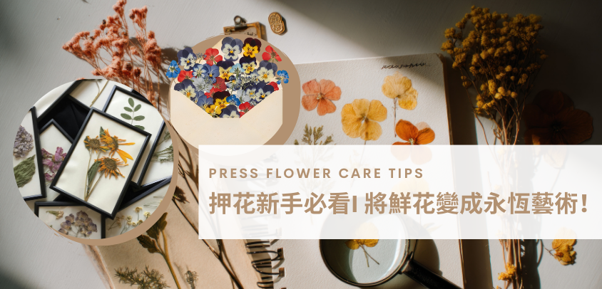 押花新手必看 I 將鮮花變成永恆藝術！