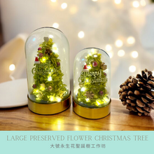 Load image into Gallery viewer, oneflowermacau 永生花/保鮮花星座 玻璃瓶Christmas Premium Preserved flower Christmas Tree Workshop 2 hours (M Size)
