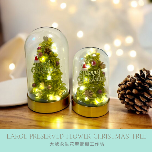 oneflowermacau 永生花/保鮮花星座 玻璃瓶Christmas Premium Preserved flower Christmas Tree Workshop 2 hours (M Size)