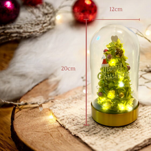 Load image into Gallery viewer, Preserved flower Christmas Tree L size
