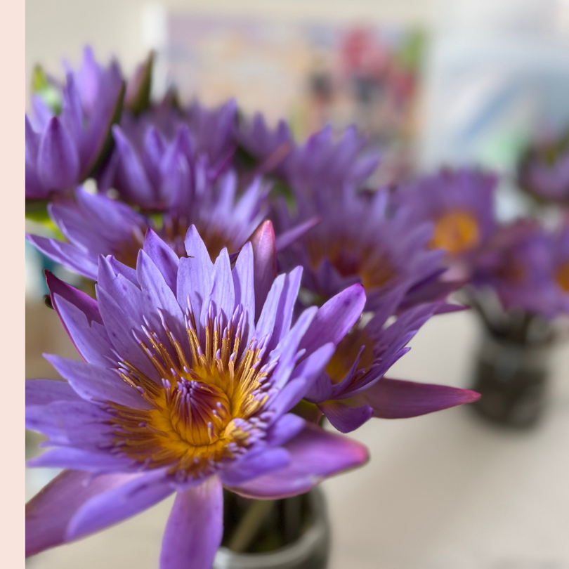 April & May Only Water Lilies Fresh Flower Bouquet - New Beginning 1 week Order