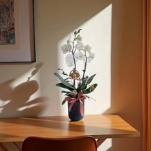 Load image into Gallery viewer, Feng Shui Fresh Orchid Flower - Miss World 2 Units
