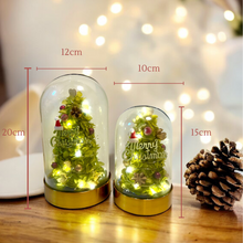 Load image into Gallery viewer, Christmas Premium Preserved flower Christmas Tree Workshop 2 hours (L Size) FULL
