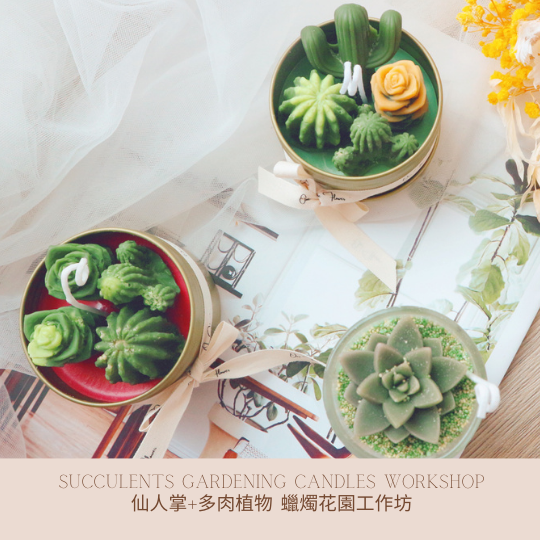 succulent candle plant Cactus + Succulents Gardening Candles 2 pcs 2 Hours – One Flower HK_Macau