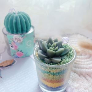 One Flower Cactus + Succulents Gardening Candles 