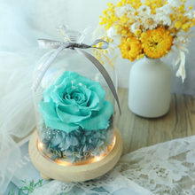 Load image into Gallery viewer, Preserved Flower Starry Glass Dome DIY Kit

