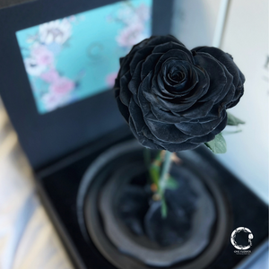 One Flower Preserved Flower Soul Love Glass Dome Secret Black