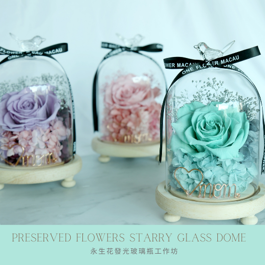 Preserved Flower Starry Love Infinity Glass Dome Workshop