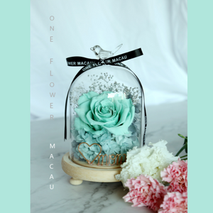 Preserved Flower Starry Love Infinity Glass Dome Workshop