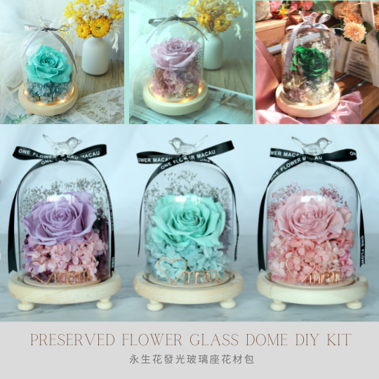 Preserved Flower Starry Glass Dome DIY Kit
